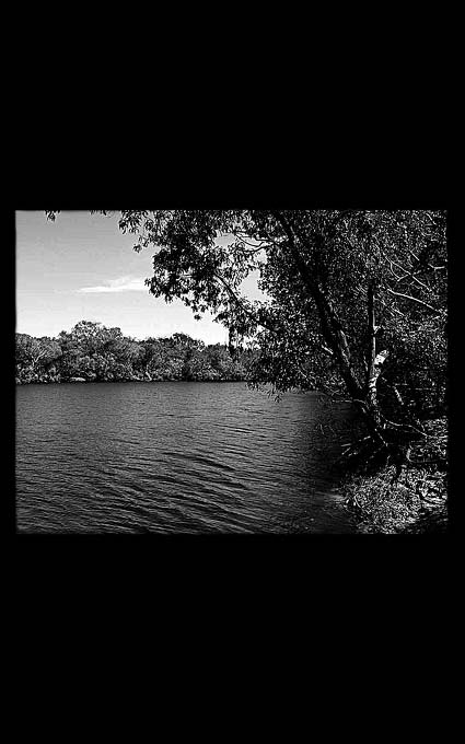 Пейзаж на памятник 168 Пейзаж на памятник 168