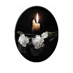 СВ008 СВ008