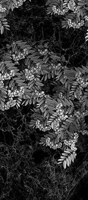 Цветник Цв026