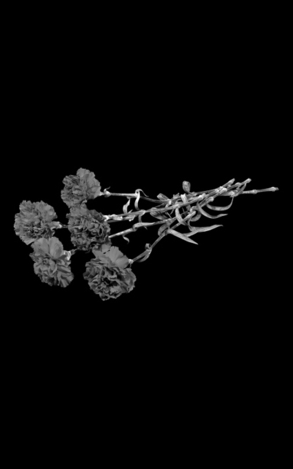 Цветы на памятник 004