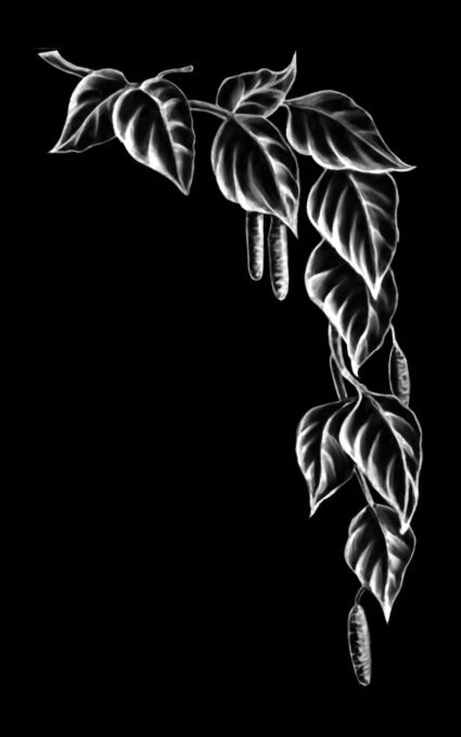 Цветы на памятник 007