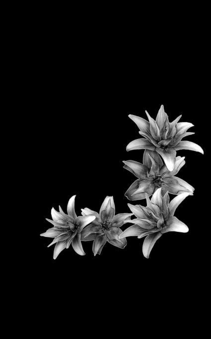 Цветы на памятник 022