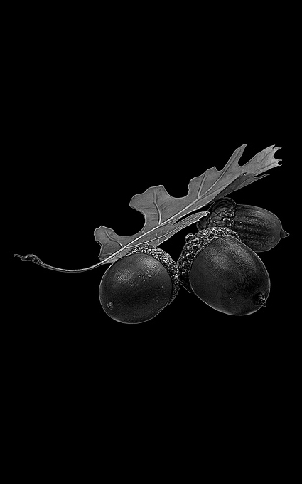 Цветы на памятник 038